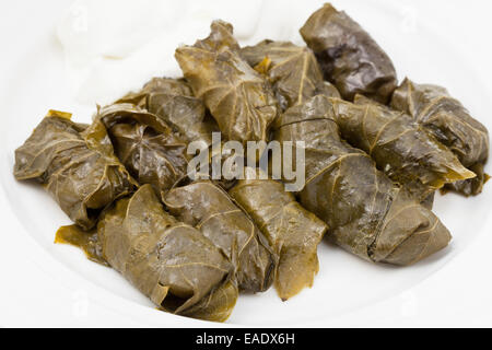 Caucase - partie repas dolma de feuilles de vigne et émincer sur plaque blanche close up Banque D'Images