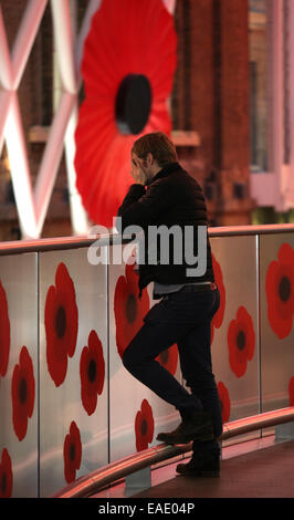 Londres, Royaume-Uni. 11 novembre, 2014. Une personne de coquelicots tout autour de lui à la gare de Kings Cross le jour de l'Armistice à Londres, au Royaume-Uni. Cette année marque également le 100 e anniversaire du début de la Première Guerre mondiale. Crédit : Paul Marriott/Alamy Live News Banque D'Images