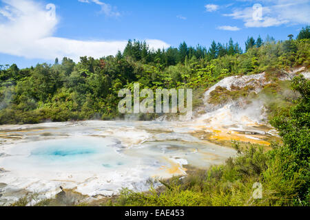 Grotte Orakei Korako et Parc Thermal zone géothermique en Nouvelle Zélande Banque D'Images