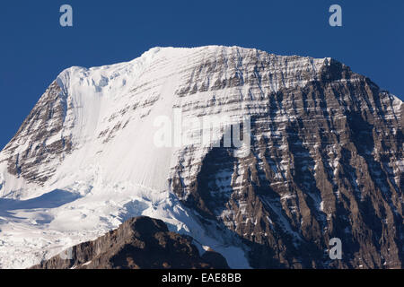 Sommet du mont Robson, le parc provincial du mont Robson, Province de la Colombie-Britannique, Canada Banque D'Images