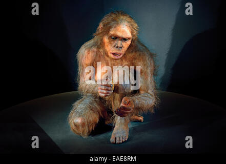 Espagne, Burgos : amour humain de "Lucy" (Australopithecus afarensis) dans le Musée de l'évolution humaine Banque D'Images