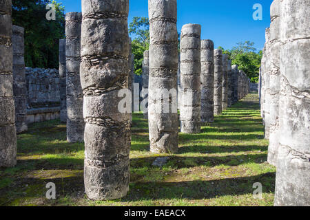 Les colonnes au temple des mille guerriers à Chichen Itza, site de ruines Mayas, le Mexique Banque D'Images