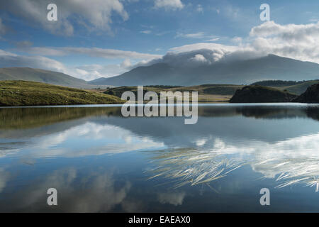 Le soleil du matin illumine le côté de Llyn Dywarchen, avec le Mont Snowdon est enveloppé dans les nuages en arrière-plan. Banque D'Images