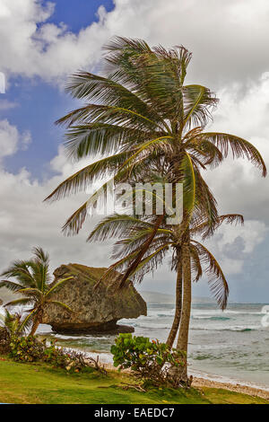 Patrick Bay Barbados West Indies Banque D'Images