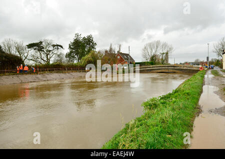 Burrowbridge, UK. 13 novembre, 2014. Météo France : inondations avec de très hauts niveaux d'eau passant sous le pont de la route principale. Crédit : Robert Timoney/Alamy Live News Banque D'Images