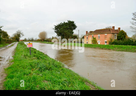 Burrowbridge, UK. 13 novembre, 2014. Météo France : Les banques de la rivière Parrett près de la page avec l'eau de l'inondation continue d'augmenter à Burrowbridge dans le Somerset. Crédit : Robert Timoney/Alamy Live News Banque D'Images