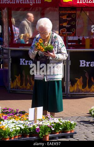 Vieille Femme à la recherche de plantes. Carlisle Easter marché continental. Le centre-ville de Carlisle, Carlisle, Cumbria, England, UK. Banque D'Images