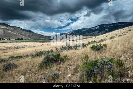 Le paysage vallonné du parc d'état de Buffalo Bill montrant les Rocheuses près de Cody, Wyoming, USA. Banque D'Images