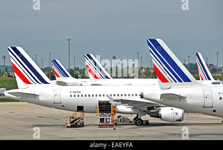 Les avions Air France Aéroport Roissy Charles de Gaulle terminal 2 Paris France Banque D'Images