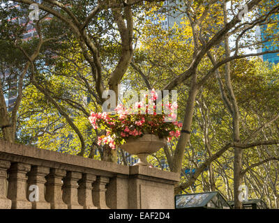 Pot de Fleurs, Bryant Park, NYC Banque D'Images