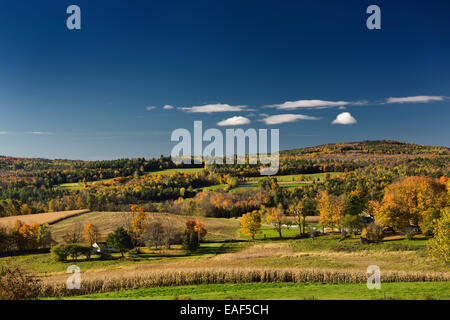 Vue sur campagne automne coloré de fermes et de Jennison Mountain de Peacham Vermont USA Banque D'Images