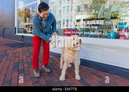 Asian woman walking un Goldendoodle dog - USA Banque D'Images