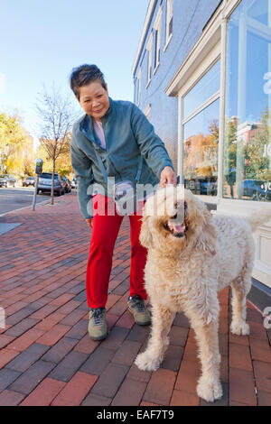 Asian woman walking un Goldendoodle dog - USA Banque D'Images