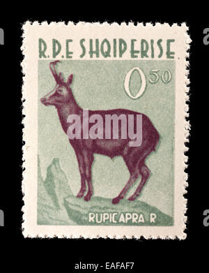 Timbre-poste d'Albanie représentant un chamois (Rupic apra) Banque D'Images