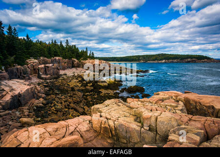 Vue sur les falaises et l'océan Atlantique dans l'Acadia National Park, Maine. Banque D'Images