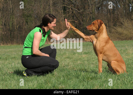 Femme avec le Rhodesian Ridgeback Banque D'Images