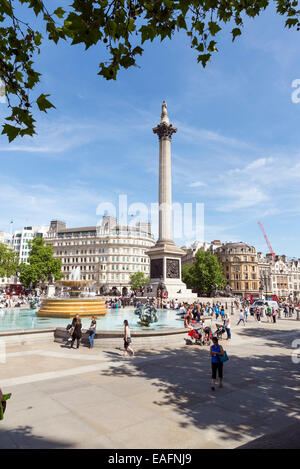 Londres, Royaume-Uni, le 6 juin 2014 : Trafalgar Square, occupé avec les gens rassemblés tout autour. Au centre se trouve la Colonne Nelson Banque D'Images