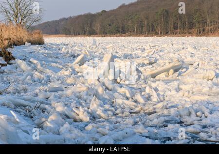 Glaces dérivantes sur la rivière Oder, le parc national de la vallée de l'Oder, Allemagne Banque D'Images