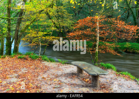 Un banc rustique en bois sur les rives de la rivière Fowey près de Respyrn à Cornwall Banque D'Images