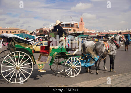 Transport de chevaux sur la place Jemaa el Fna Marrakech Banque D'Images