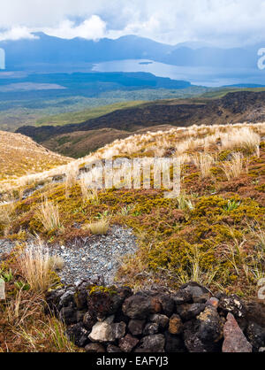 La voie publique au Parc National de Tongariro, Nouvelle-Zélande Banque D'Images