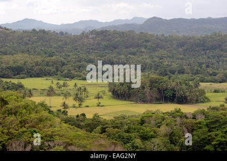 Les collines de chocolat dans Carmen, île de Bohol, Philippines, en Asie du sud-est Banque D'Images