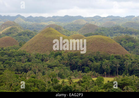 Les collines de chocolat dans Carmen, île de Bohol, Philippines, en Asie du sud-est Banque D'Images