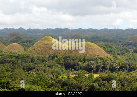 Les collines de chocolat dans Carmen, île de Bohol, Philippines, en Asie du sud-est Banque D'Images