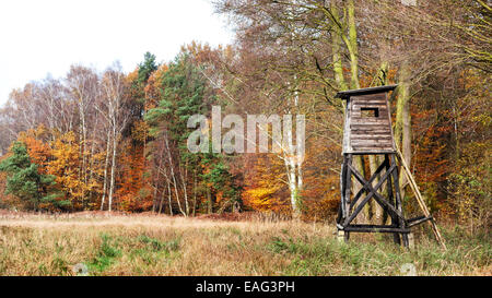 Vue panoramique d'une chaire de la chasse en automne. Banque D'Images