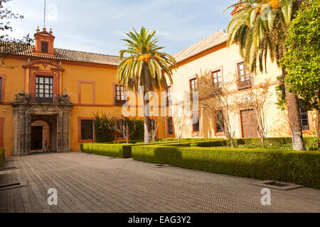 Jardins des palais Patio Alcazar, Séville, Espagne Banque D'Images