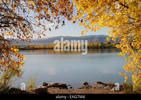 Couleurs d'automne à Foulque Lake, près de Boulder Reservoir avec une vue lointaine de la Front Range. Banque D'Images