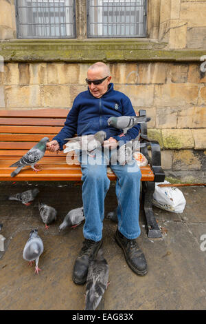 Un homme plus âgé dans l'alimentation des lunettes les oiseaux s'assit sur un banc en centre urbain York, Royaume-Uni Banque D'Images