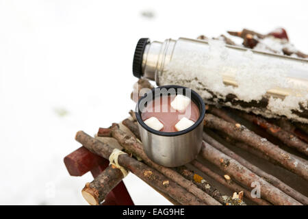 Thermos et tasse de chocolat chaud avec des guimauves en hiver. Banque D'Images