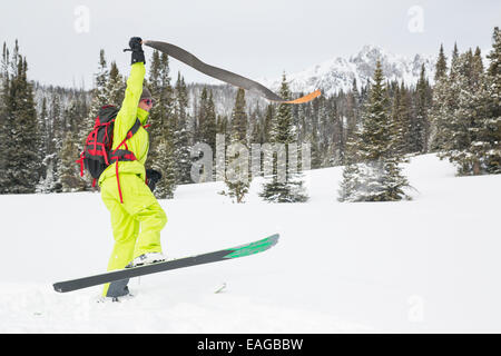 Mettre en place d'un skieur de l'arrière-pays femelle tire son skins off dans le bassin de ruche près de Big Sky, Montana. Banque D'Images