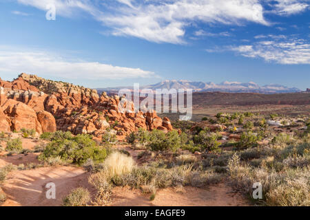 La roche rouge palmes de fournaise ardente dans Parc National Arches dans l'Utah, avec Montagnes La Sal dans l'arrière-plan. Banque D'Images