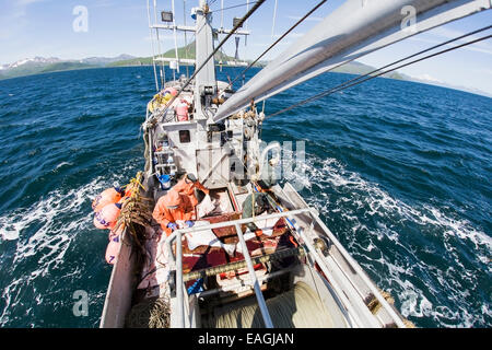 L'éviscération et la pêche commerciale au flétan près de Cold Bay, sud-ouest de l'Alaska, l'été. Banque D'Images