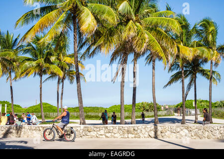 Miami Beach Florida, Lummus Park, Serpentine Trail, homme hommes, équitation, vélo, vélo, équitation, vélo, rider, palmiers, FL141031036 Banque D'Images