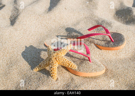 Sandales rose sur la plage dans le sable. Étoiles de mer Banque D'Images