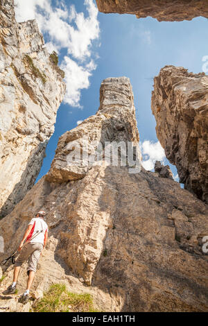 Tours de Saint-Jacques dans le parc naturel des Bauges, le Massif de Haute-Savoie, Rhône-Alpes, France Banque D'Images