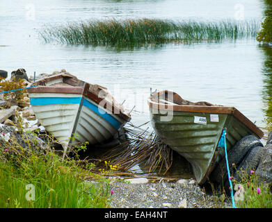 Pêche lac bateaux établi sur la rive du lac de Lough Corrib, comté de Galway, Irlande Banque D'Images