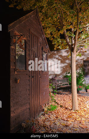 Automne / fall . Feuilles d'érable tombé dans un jardin avec abri de jardin Banque D'Images