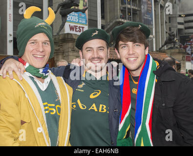 London, Middlesex, Royaume-Uni. 15 Nov, 2014. 15 novembre 2014 Afrique du Sud fans avant l'Angleterre -V- Afrique du Sud match à Twickenham : Steve Flynn-ZUMA Press Crédit : Steve Flynn/ZUMA/Alamy Fil Live News Banque D'Images