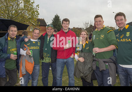 London, Middlesex, Royaume-Uni. 15 Nov, 2014. Le 15 novembre 2014. Des fans de l'Afrique du Sud avant l'Angleterre -V- Afrique du Sud match à Twickenham : Steve Flynn-ZUMA Press Crédit : Steve Flynn/ZUMA/Alamy Fil Live News Banque D'Images