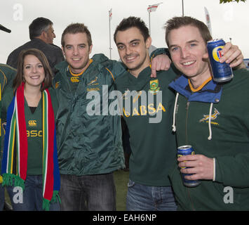 London, Middlesex, Royaume-Uni. 15 Nov, 2014. Le 15 novembre 2014. Des fans de l'Afrique du Sud avant l'Angleterre -V- Afrique du Sud match à Twickenham : Steve Flynn-ZUMA Press Crédit : Steve Flynn/ZUMA/Alamy Fil Live News Banque D'Images