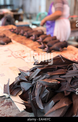 Les chauves-souris mortes pour vendre à l'étal d'un boucher de la rue du marché indonésien. Selective focus sur les ailes de chauve-souris haché. Banque D'Images