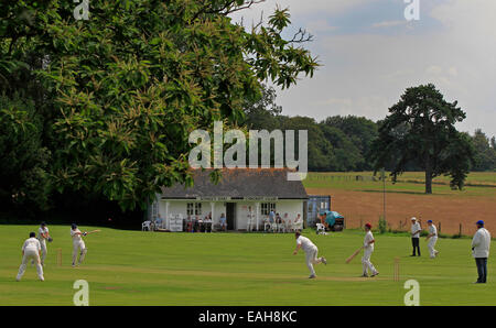 Cricket - une vue générale d'un village anglais de cricket en été avec les joueurs, les spectateurs, pavillon et arbres Banque D'Images