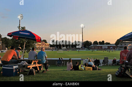 Une vue générale au coucher du soleil de spectateurs regardant un match de cricket du comté de éclairé le Spitfire Sol, Saint-Laurent, Canterbury Banque D'Images