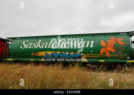 La Saskatchewan grain de marchandises de camions sur le chemin de fer Canadien Pacifique Saskatchewan Canada Banque D'Images