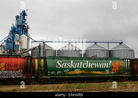 Le Canada et la Saskatchewan Grain de marchandises de camions sur le chemin de fer Canadien Pacifique Saskatchewan Canada Banque D'Images