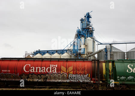 Transport Canada camions de grain sur le chemin de fer Canadien Pacifique Saskatchewan Canada Banque D'Images